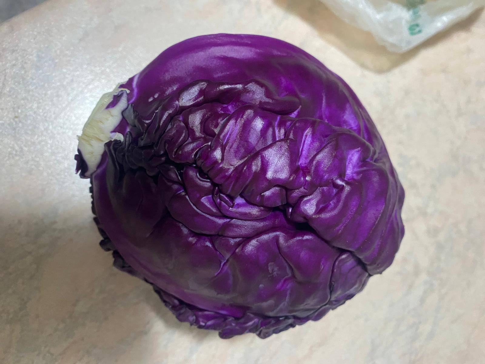 cavolo_1